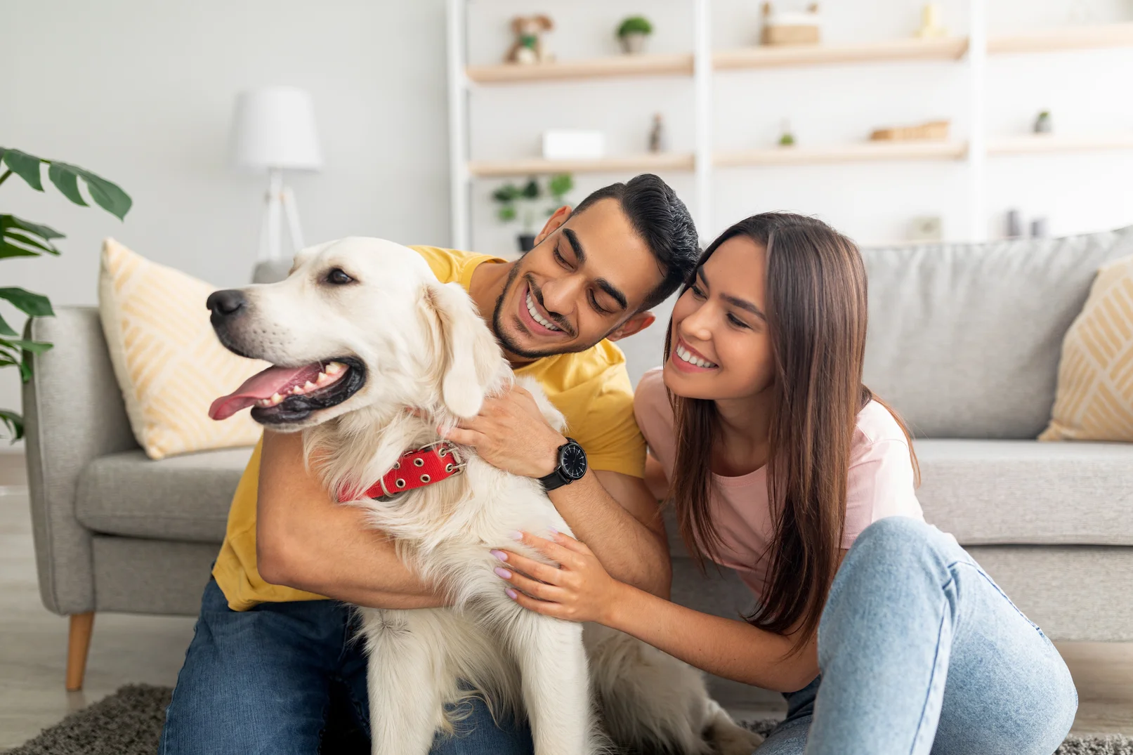 un homme et une femme en train de câliner un chien blanc