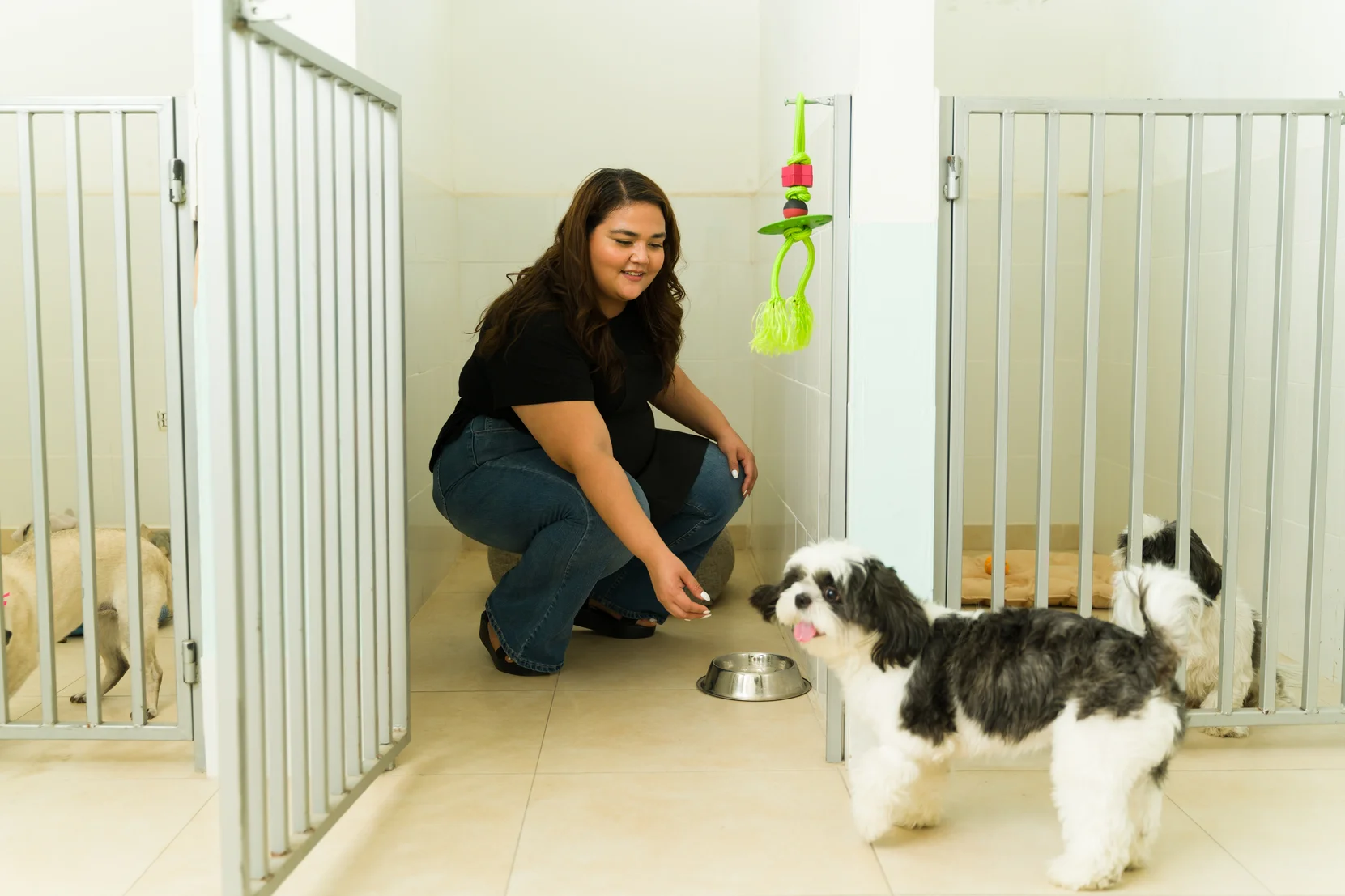 femme jouant avec un chien